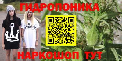 круглые Ставрополь