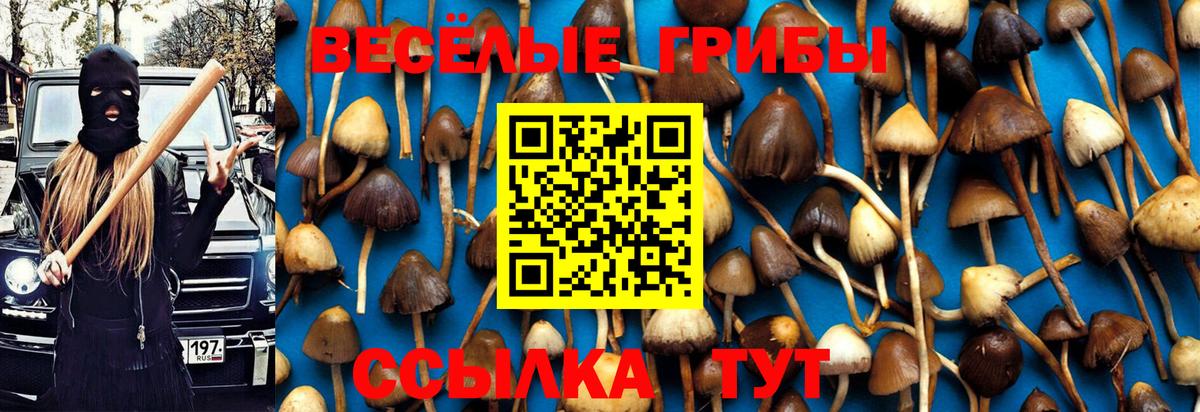 Галлюциногенные грибы GOLDEN TEACHER Орехово-Зуево