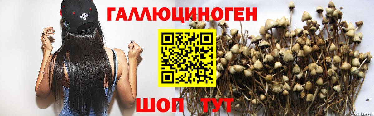 Орехово-Зуево  Псилоцибиновые грибы Cubensis  Вход с VPN  Галлюциногенные грибы MAGIC MUSHROOMS 